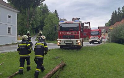 Baumbergung in Vorau