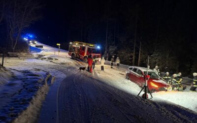 Fahrzeugbergung in Vornholz