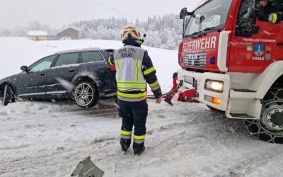 Entfernen von umgefallenen Bäumen nach schweren Schneefällen