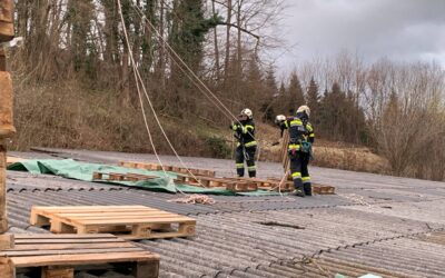 Baum auf Dach in Vorau