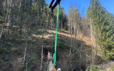 Baum auf Hausdach in Riegersberg