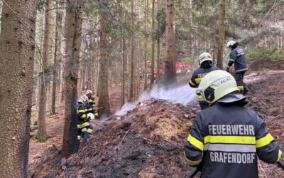 Waldbrand in Grafendorf