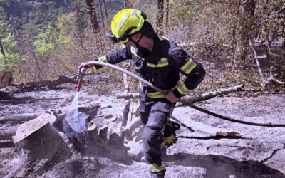 Waldbrandeinsatz in Eisbach-Rein