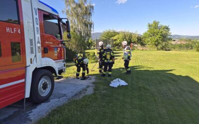 Kleinbrand in Vorau