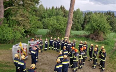 Waldbrand Basisausbildung Abschnitt 5