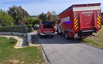 Kellerauspumpen in Vorau