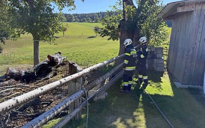 Baumbrand in Vornholz