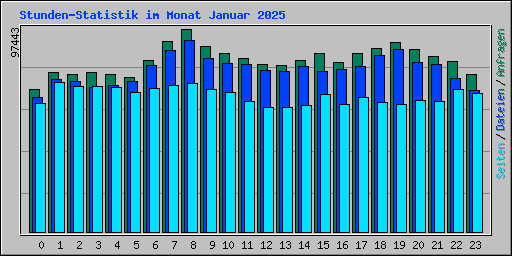 Stunden-Statistik im Monat Januar 2025