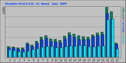Stunden-Statistik im Monat Juni 2025